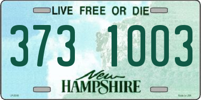 NH license plate 3731003