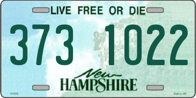 NH license plate 3731022