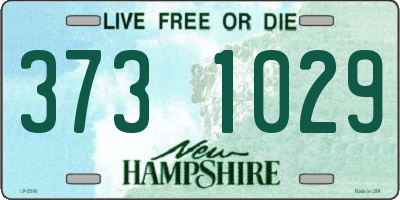 NH license plate 3731029