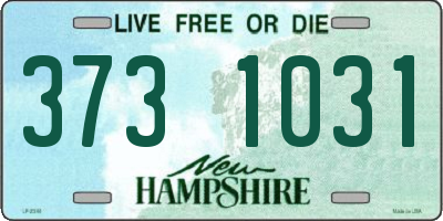 NH license plate 3731031