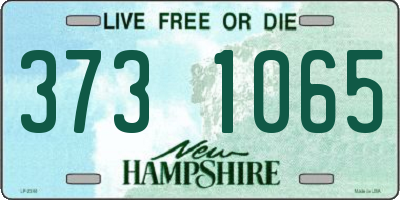 NH license plate 3731065
