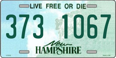 NH license plate 3731067