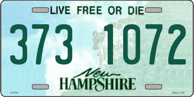 NH license plate 3731072