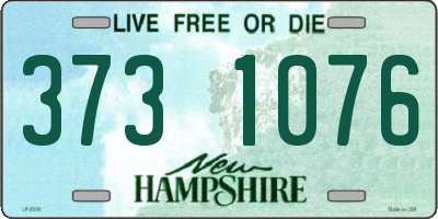 NH license plate 3731076