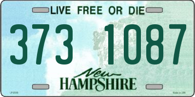 NH license plate 3731087