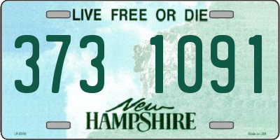 NH license plate 3731091