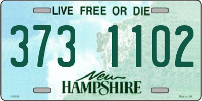 NH license plate 3731102