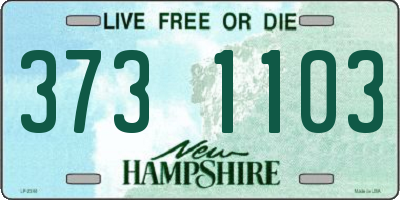 NH license plate 3731103