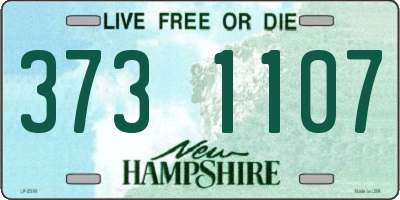 NH license plate 3731107