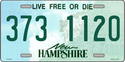 NH license plate 3731120