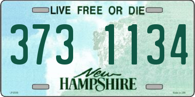 NH license plate 3731134
