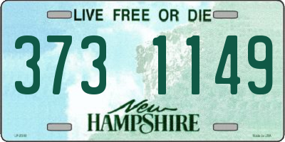 NH license plate 3731149