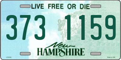NH license plate 3731159