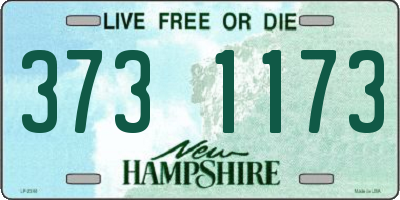 NH license plate 3731173