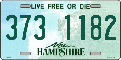 NH license plate 3731182