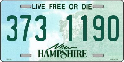 NH license plate 3731190