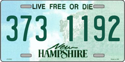 NH license plate 3731192