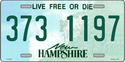 NH license plate 3731197