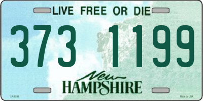NH license plate 3731199