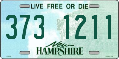 NH license plate 3731211