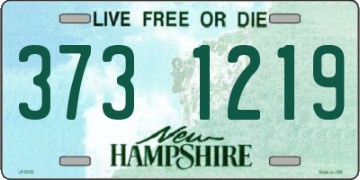 NH license plate 3731219