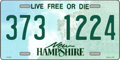 NH license plate 3731224
