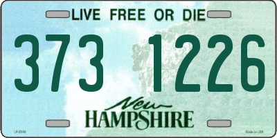 NH license plate 3731226