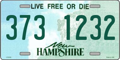 NH license plate 3731232