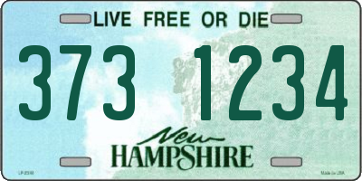 NH license plate 3731234