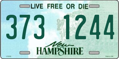 NH license plate 3731244