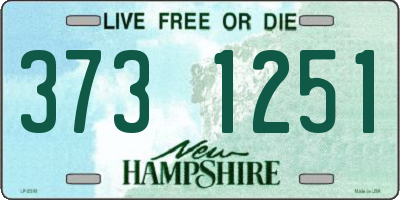 NH license plate 3731251