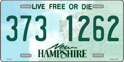 NH license plate 3731262