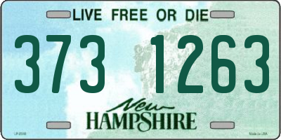 NH license plate 3731263