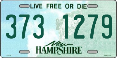 NH license plate 3731279