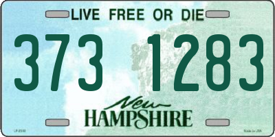 NH license plate 3731283