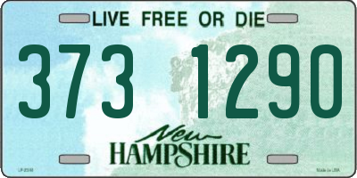 NH license plate 3731290