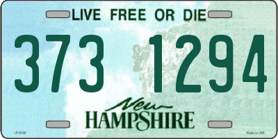 NH license plate 3731294