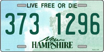 NH license plate 3731296