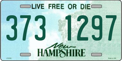 NH license plate 3731297