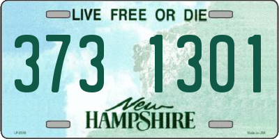 NH license plate 3731301