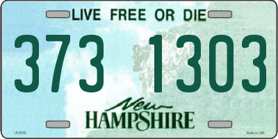 NH license plate 3731303