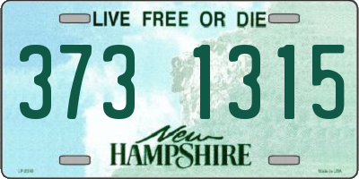 NH license plate 3731315