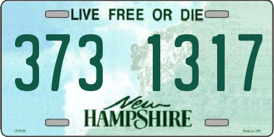 NH license plate 3731317