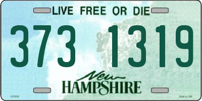 NH license plate 3731319