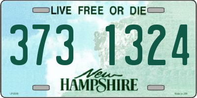 NH license plate 3731324