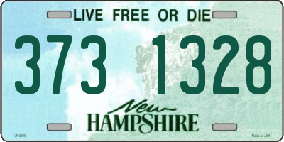 NH license plate 3731328