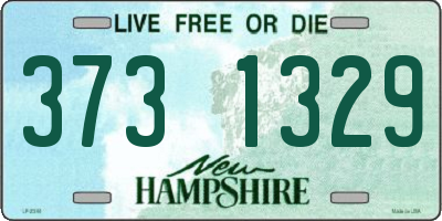 NH license plate 3731329