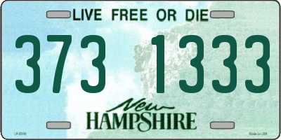 NH license plate 3731333