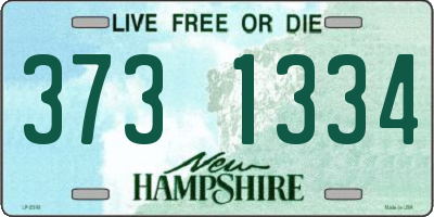 NH license plate 3731334