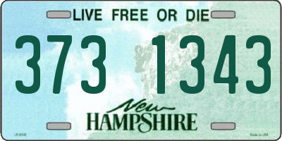 NH license plate 3731343